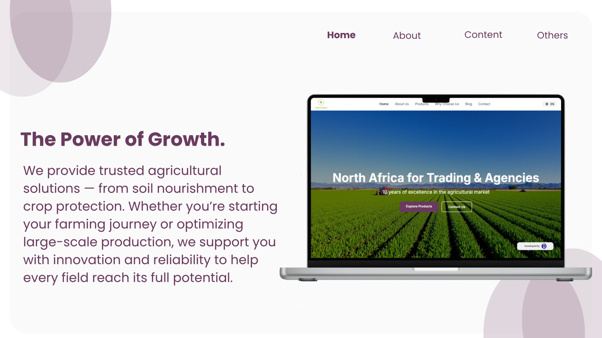 North Africa Trading & Agencies Website