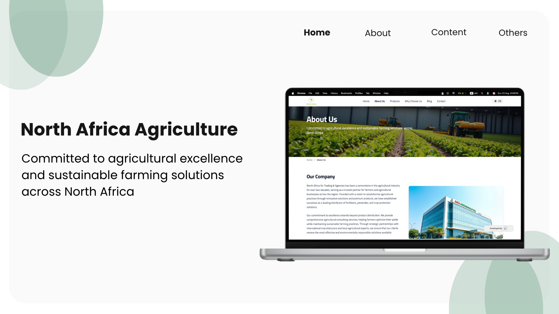 Debug - Expert Debugging & Development Solutions | AI-Powered Software ...